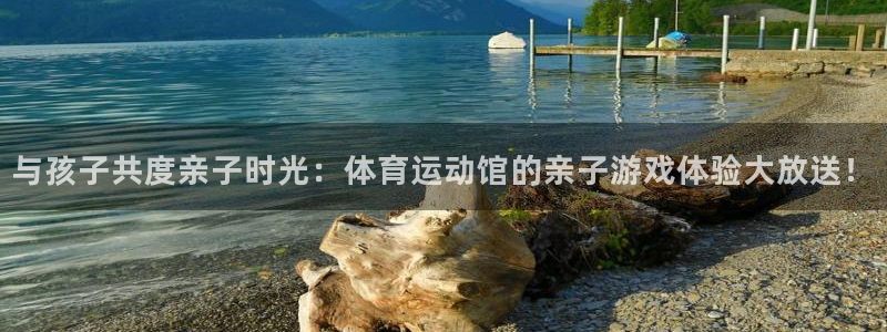 Z66体育APP官方下载入口：与孩子共度亲子时光：体育运动馆的亲子游戏体验大放送！
