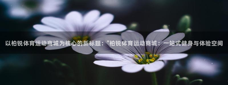 666体育：以柏锐体育运动商城为核心的新标题：\