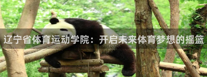 66体育直播网：辽宁省体育运动学院：开启未来体育梦想的摇篮
