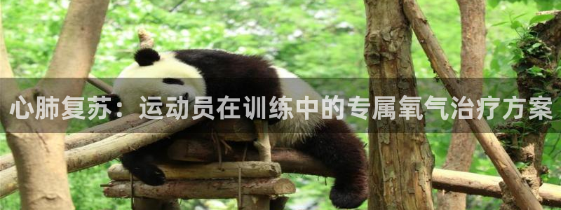 z66体育全站APP下载：心肺复苏：运动员在训练中的专属氧气治疗方案