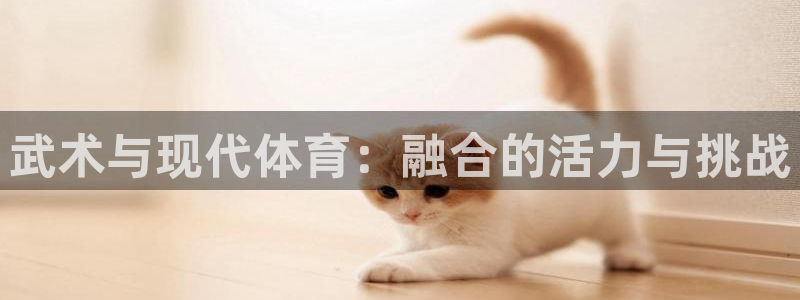 66体育直播网：武术与现代体育：融合的活力与挑战