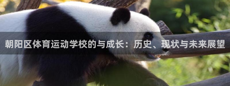 Z66体育官方网站：朝阳区体育运动学校的与成长：历史、现状与未来展望